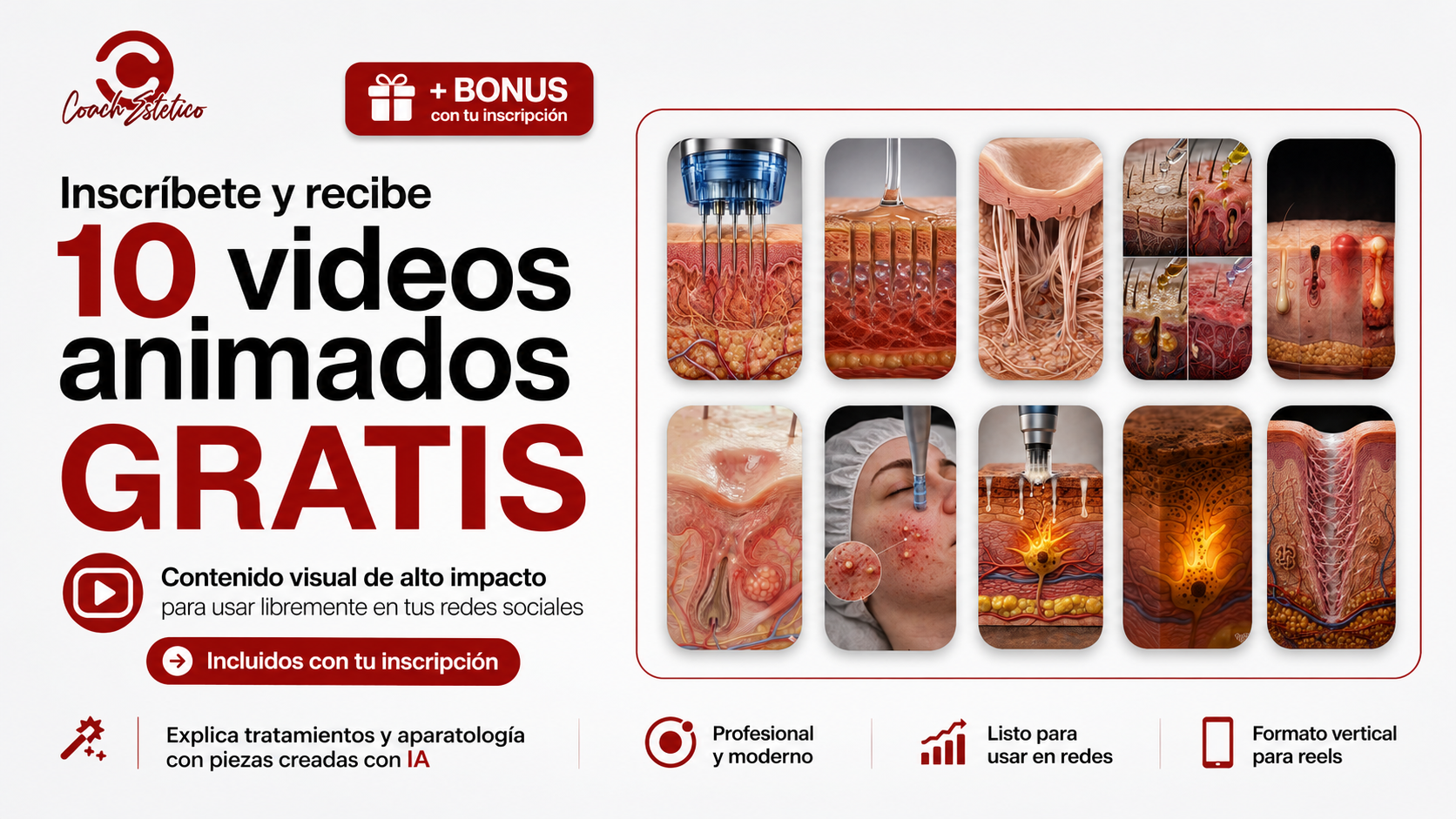 Bonus: 10 videos animados de regalo con tu inscripción